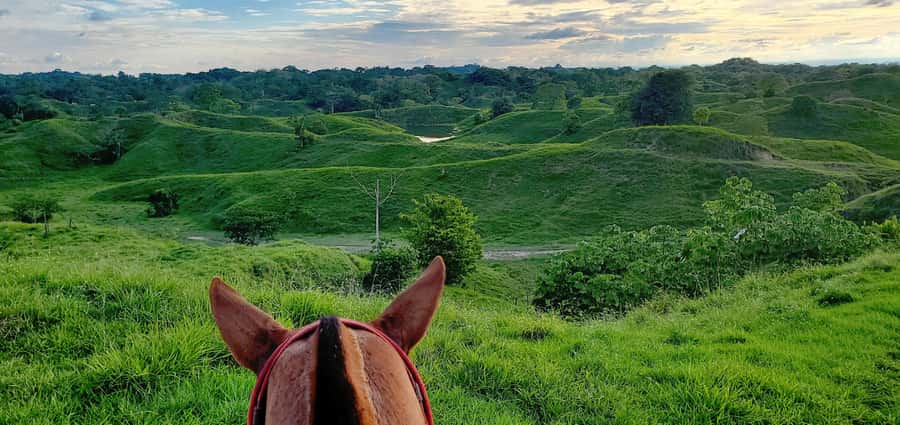 From Medellin; (All-In) The Real Horseback Ranch Experience - Fiambre in the middle of the fields