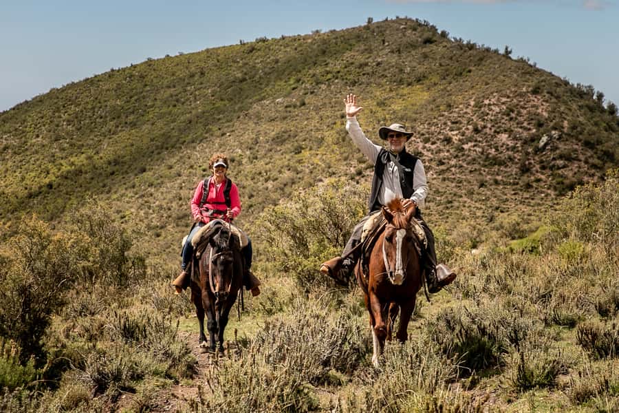 From Mendoza: Full Day Gaucho Experience - Guanacos, condors, and wide Andes views