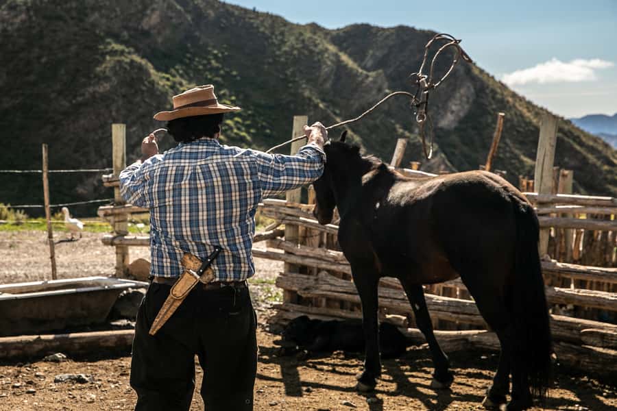 From Mendoza: Full Day Gaucho Experience - Timing, group size, and booking flexibility