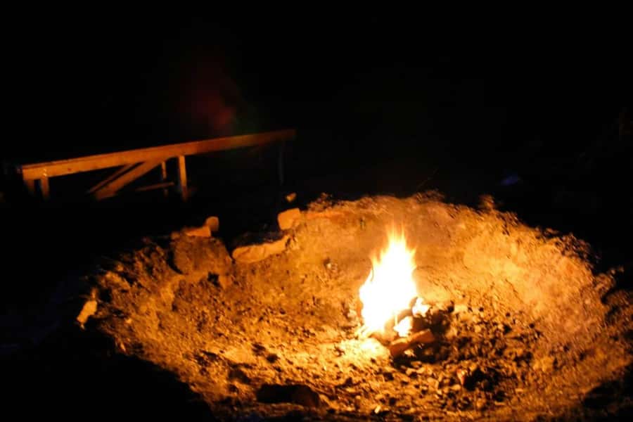 From Mendoza: Sunset Horseback Ride and Asado in the Andes - The Asado: A Hearty Finish to the Ride