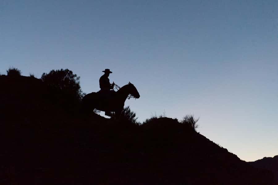 From Mendoza: Sunset Horseback Ride and Asado in the Andes - Language, Group Style, and Practical Limits