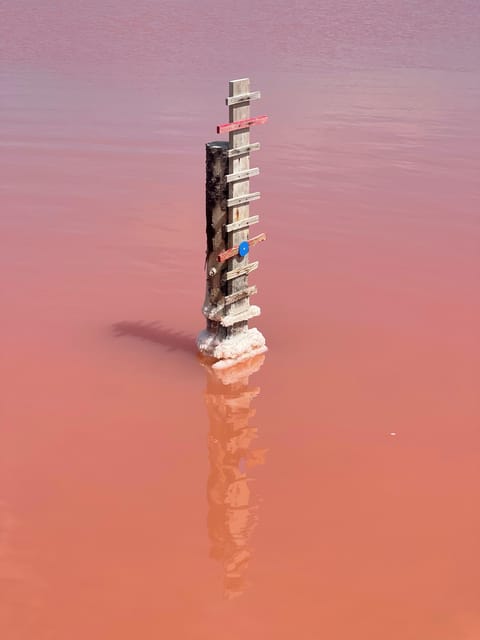 From Montpellier: Camargue and Salt Marshes Guided Tour - Pont de Gau and the pink flamingos