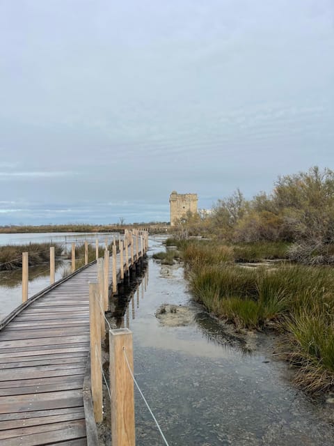 From Montpellier: Camargue and Salt Marshes Guided Tour - Who should book this outing