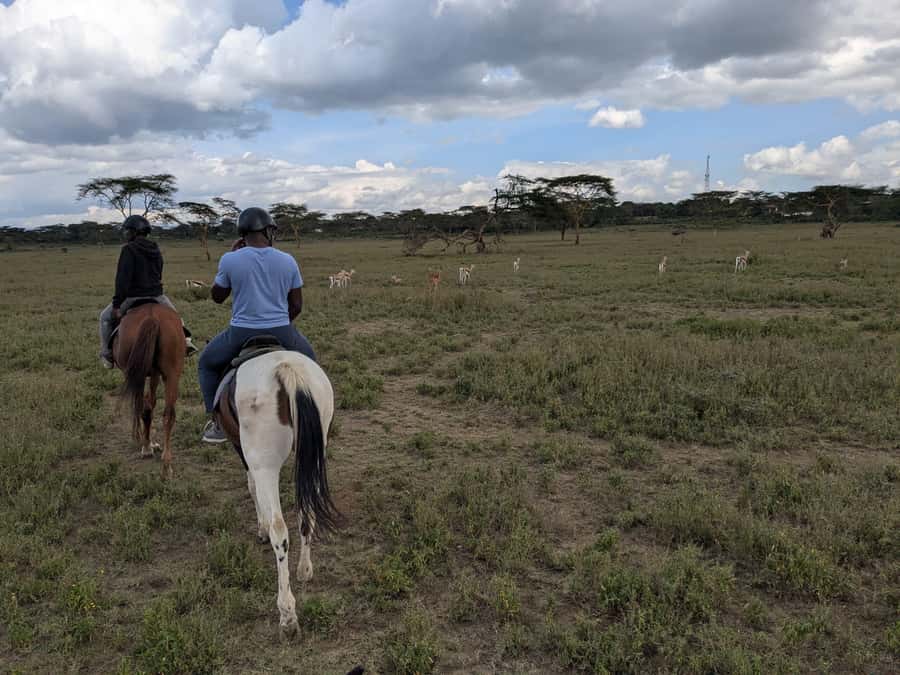 From Nairobi: Horseback Wildlife Safari with Transfer & Meal - What Makes Horseback Wildlife Watching Different