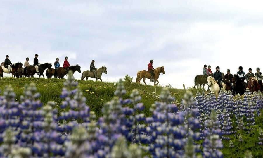 From Reykjavík: Full-day Golden Circle & Horse Riding Tour - What about Kerið crater?
