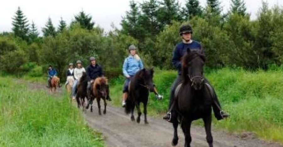 From Reykjavik: Full-Day Horse Riding & Golden Circle Tour - Lunch and the changeover to the Golden Circle