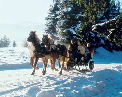 From Salzburg: Ramsau Day Trip with 1-hour Carriage Ride - Key points to know before booking