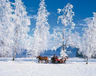From Salzburg: Ramsau Day Trip with 1-hour Carriage Ride - The horse-drawn sleigh or carriage ride