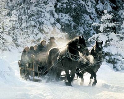 From Salzburg: Ramsau Day Trip with 1-hour Carriage Ride - Five hours on the high plateau