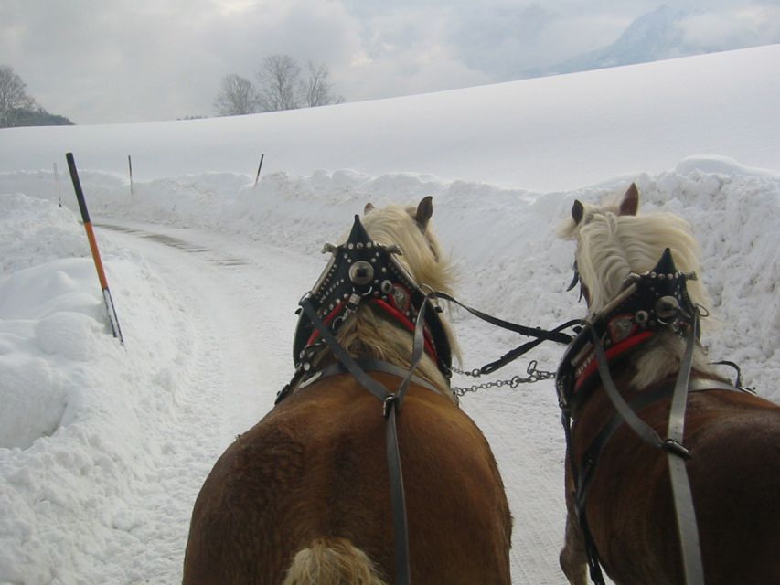 From Salzburg Romantic Carriage Ride through the Countryside - The guide and vehicle make a difference