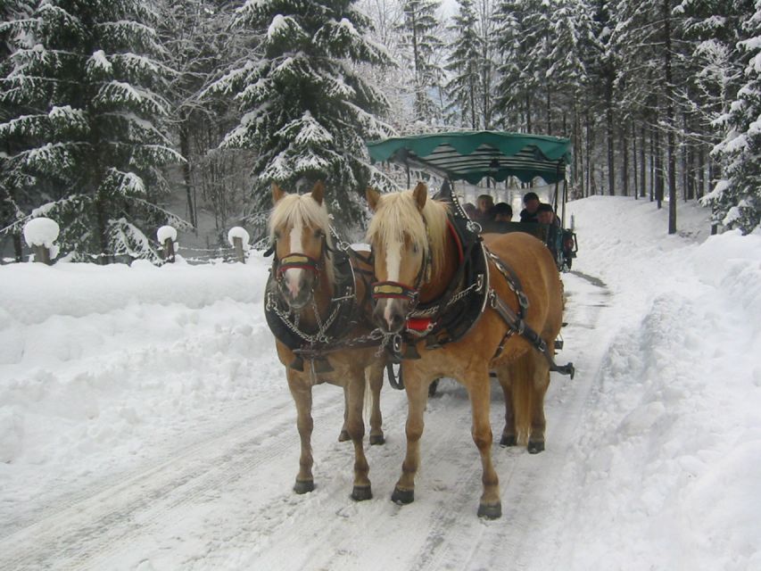 From Salzburg Romantic Carriage Ride through the Countryside - Is $883 a fair price?