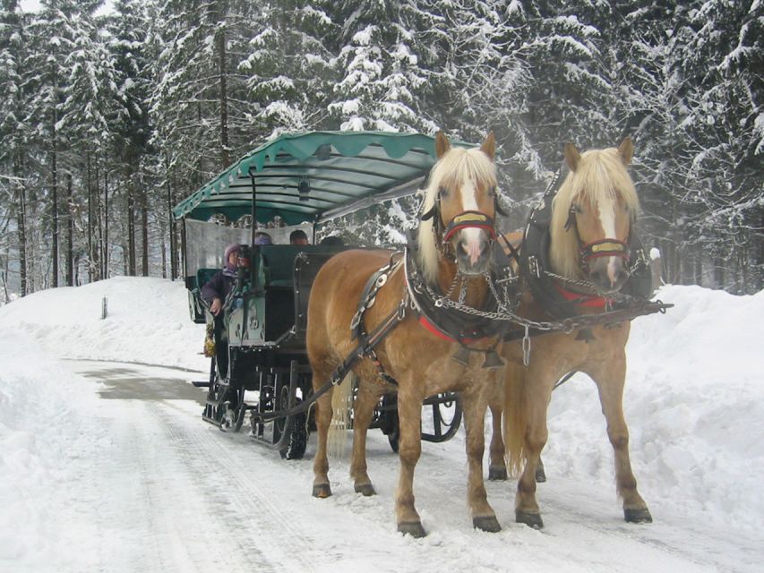 From Salzburg Romantic Carriage Ride through the Countryside - Booking advice for the best version of the experience