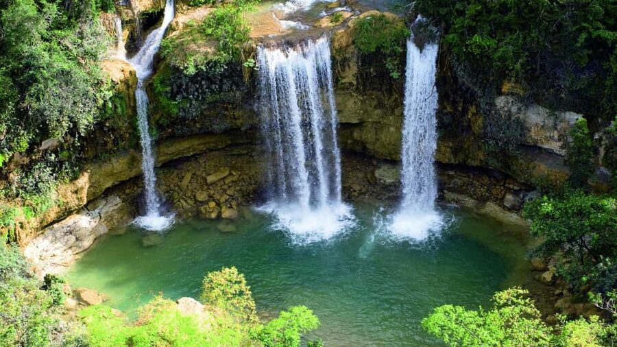 From Samaná: El Limón Waterfall Horseback Ride with Lunch - Riding through Samaná’s tropical forest