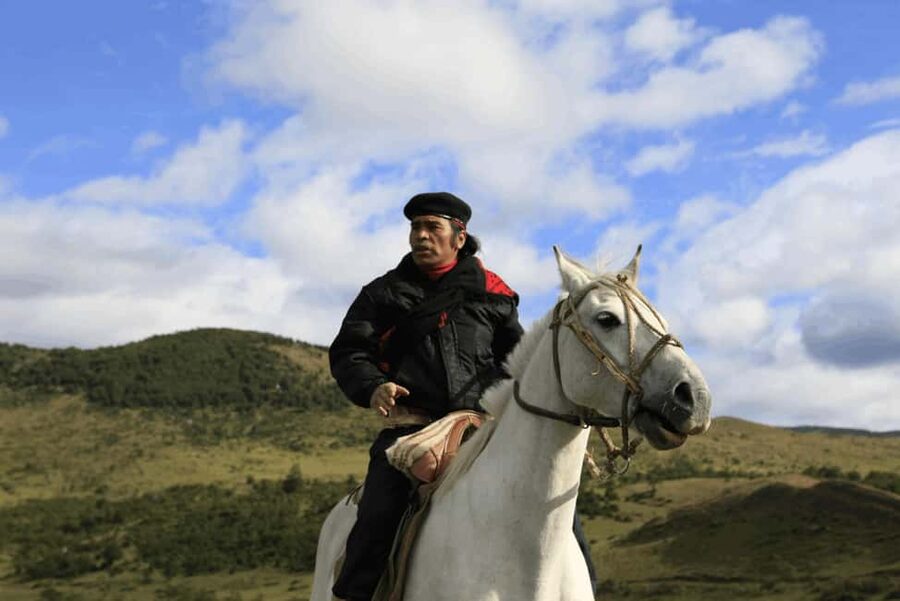 From Samaná: El Limón Waterfall Horseback Ride with Lunch - Guides, languages, and personal attention