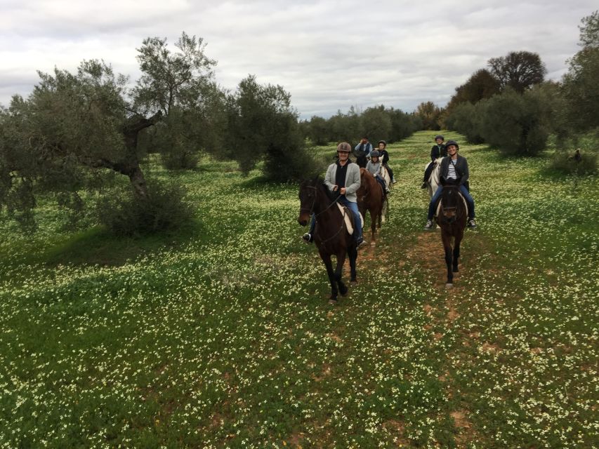 From Seville: Andalusian Horseback Ride - FAQ