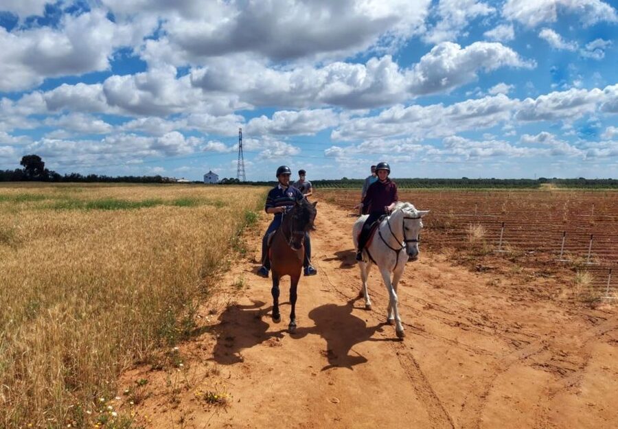 From Seville: Andalusian Horseback Ride - What the family-run ranch adds