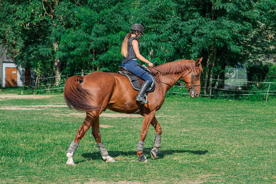 From Seville: Andalusian Horseback Ride - How the guides shape the ride