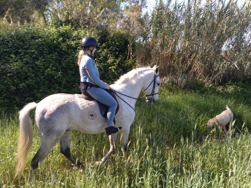 From Seville: Andalusian Horseback Ride - Is $164 a fair price?