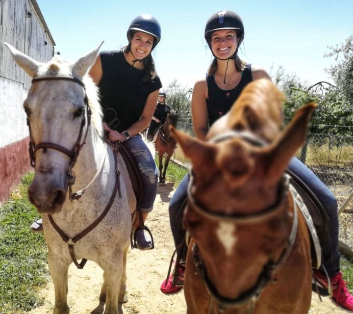 From Seville: Andalusian Horseback Ride - My practical take on the experience