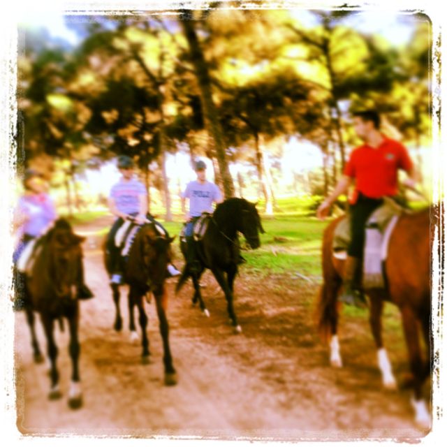 From Seville: Andalusian Horseback Ride - Should you book the Andalusian horseback ride?