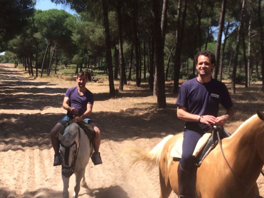 From Seville: Horseback Riding Experience in Aljarafe - Leaving Seville for Andalusian horse country
