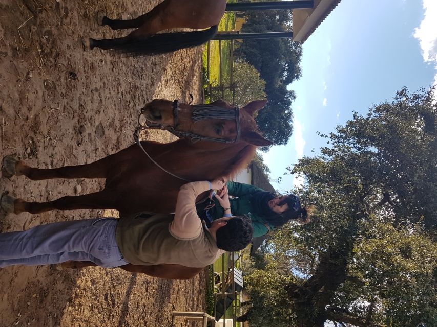 From Seville: Horseback Riding Experience in Aljarafe - What the 1.5-hour ride feels like