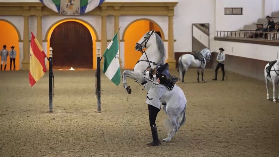 From Seville: Jerez, Cádiz and Andalusian Horses - Key points at a glance