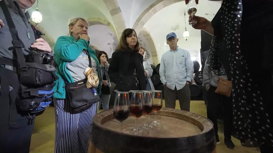 From Seville: Jerez, Cádiz and Andalusian Horses - Why this Seville day trip works