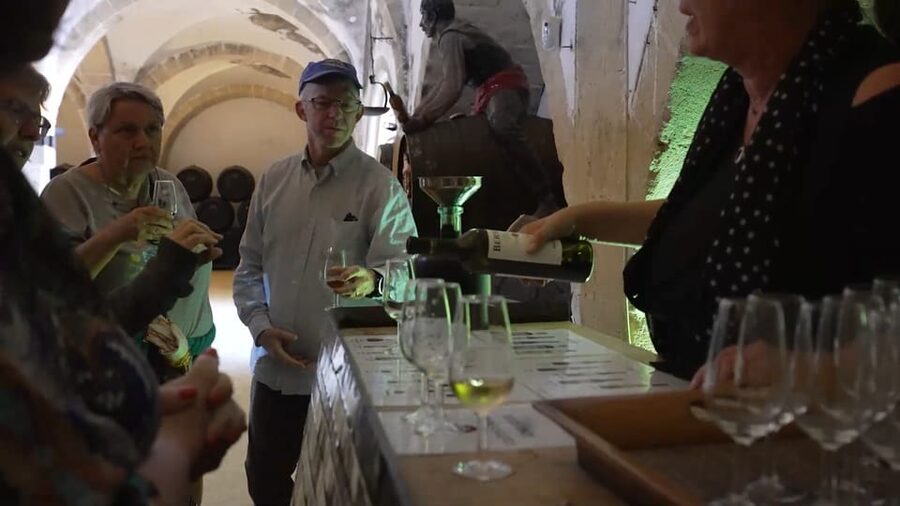 From Seville: Jerez, Cádiz and Andalusian Horses - Inside a traditional Jerez bodega