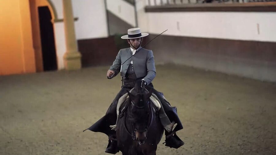 From Seville: Jerez, Cádiz and Andalusian Horses - Cádiz: one hour with a guide, 90 minutes to explore