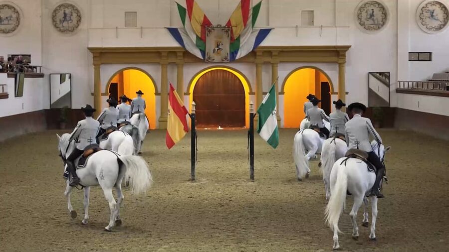 From Seville: Jerez, Cádiz and Andalusian Horses - The day’s rhythm and its real limitations