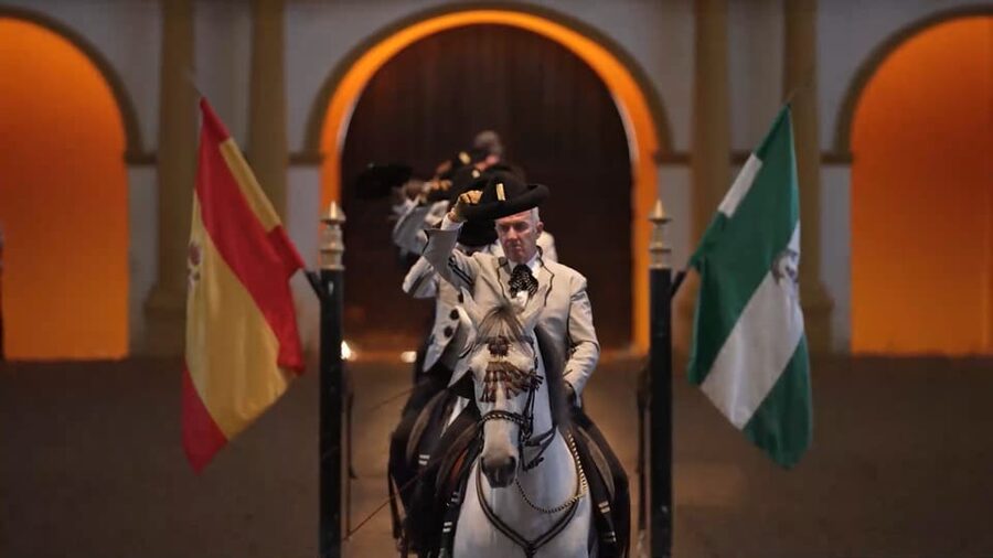 From Seville: Jerez, Cádiz and Andalusian Horses - Who should book this experience