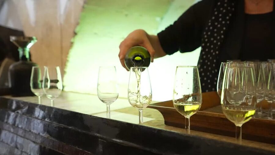 From Seville: Jerez, Cádiz and Andalusian Horses - Leaving Seville for the Jerez wine country