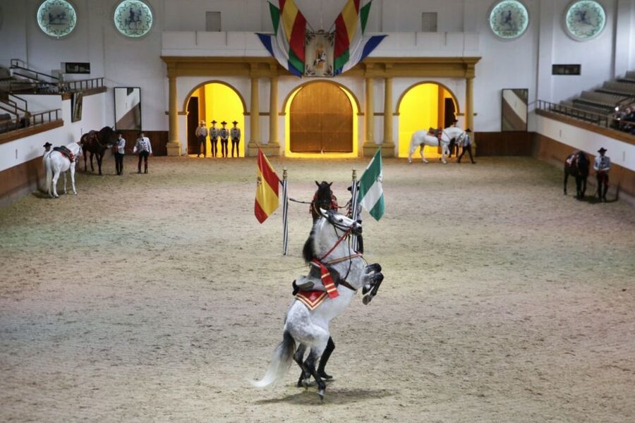 From Seville: Tour of Jerez with Horse Show & Wine Tasting - A polished show with little time around it
