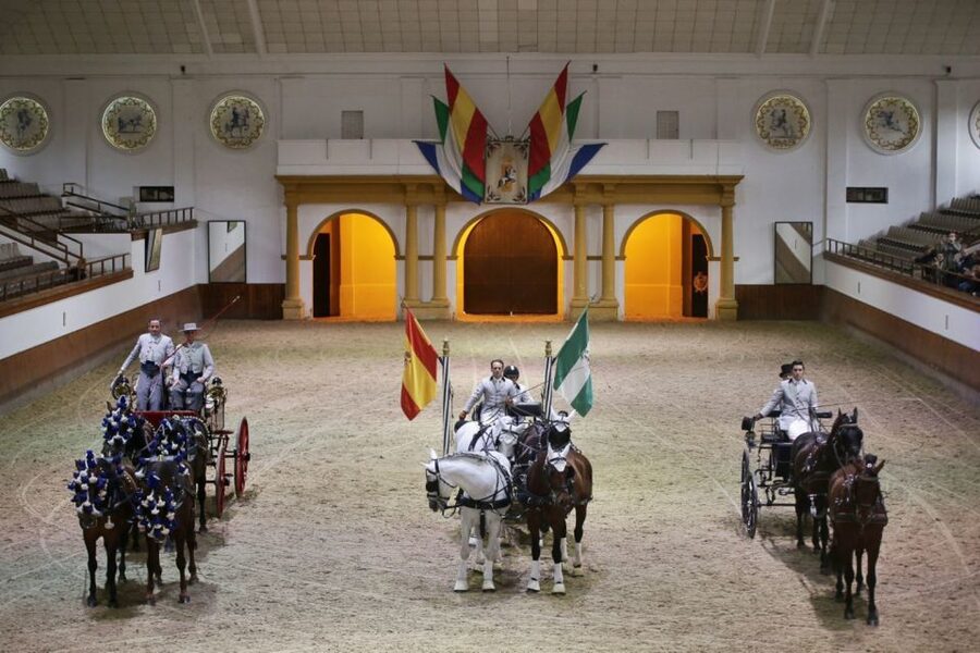 From Seville: Tour of Jerez with Horse Show & Wine Tasting - The small Mercedes van and the timing