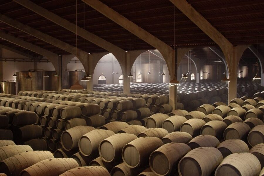 From Seville: Tour of Jerez with Horse Show & Wine Tasting - What the $147 price really covers