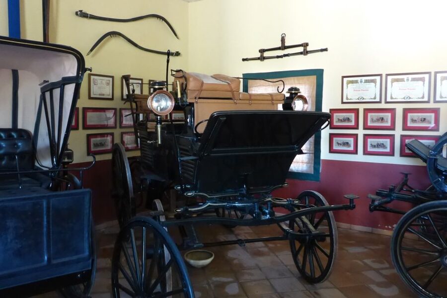 From Seville: Tour of Jerez with Horse Show & Wine Tasting - Who will enjoy this Jerez outing most