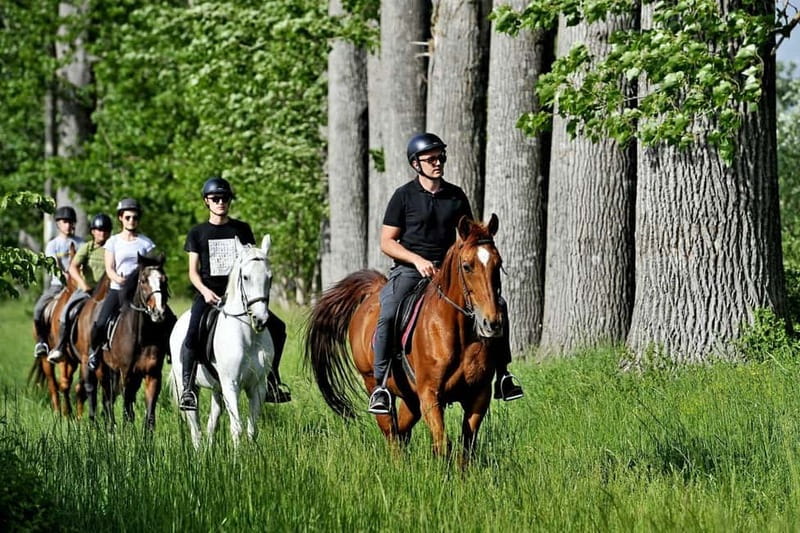From Split: Full-Day Horse Riding & Quad Biking with Lunch - FAQ