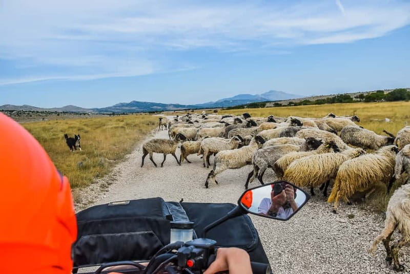 From Split: Full-Day Horse Riding & Quad Biking with Lunch - Two hours on horseback at Konjički klub Javor