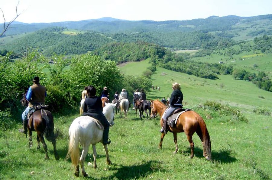 From Tropea: Horseback Riding Tour with Picnic in Francica - The picnic is more than a quick snack