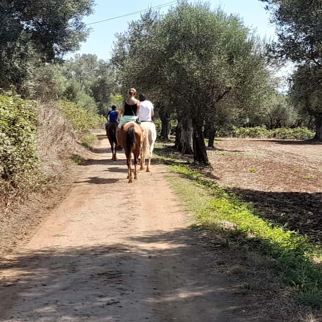 From Tropea: Horseback Riding Tour with Picnic in Francica - Who will enjoy this horseback outing