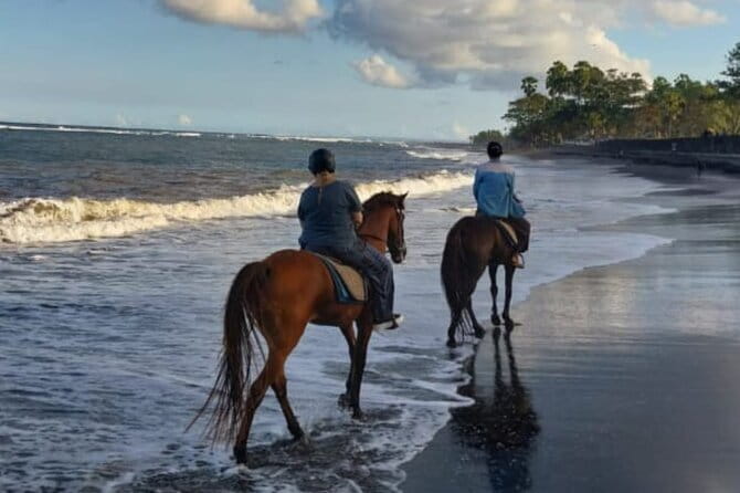 From Ubud 1 Hour Horse Riding at The Beach Experiences - Weather, timing, and cancellation