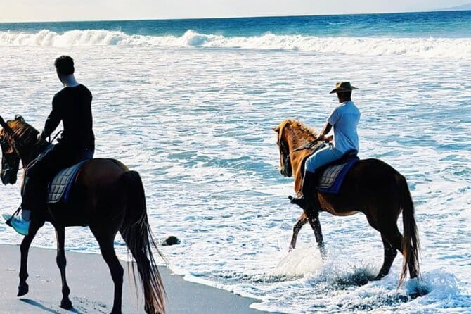 From Ubud 1 Hour Horse Riding at The Beach Experiences - One hour beside the Bali coast