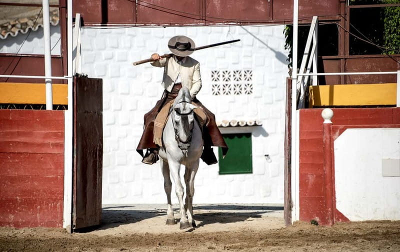 Fuengirola: Spanish Horse Show with Optional Dinner/Flamenco - The evening starts with Andalusian horses