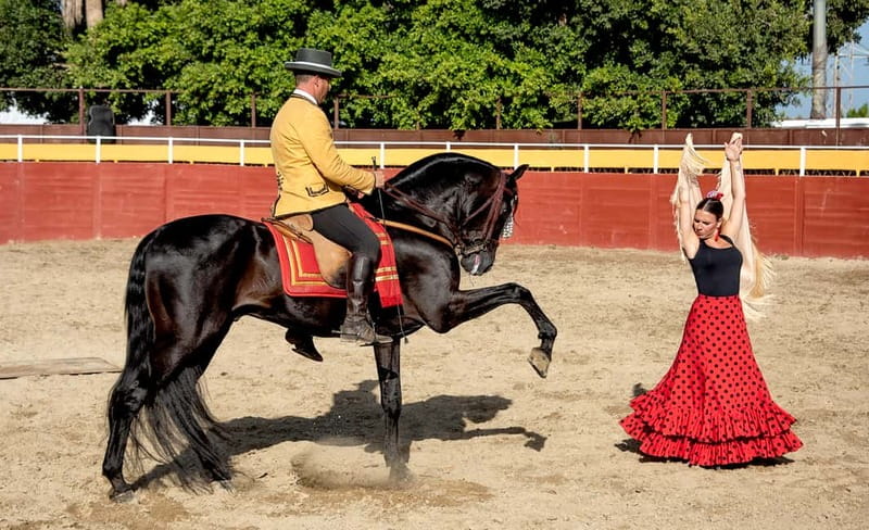 Fuengirola: Spanish Horse Show with Optional Dinner/Flamenco - Paella, ice cream, and a family dining room
