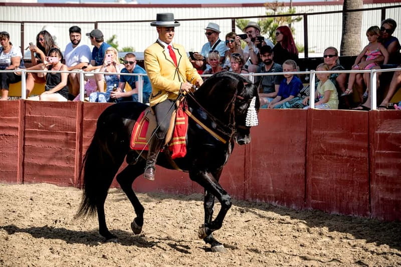 Fuengirola: Spanish Horse Show with Optional Dinner/Flamenco - Languages, cancellation, and practical details
