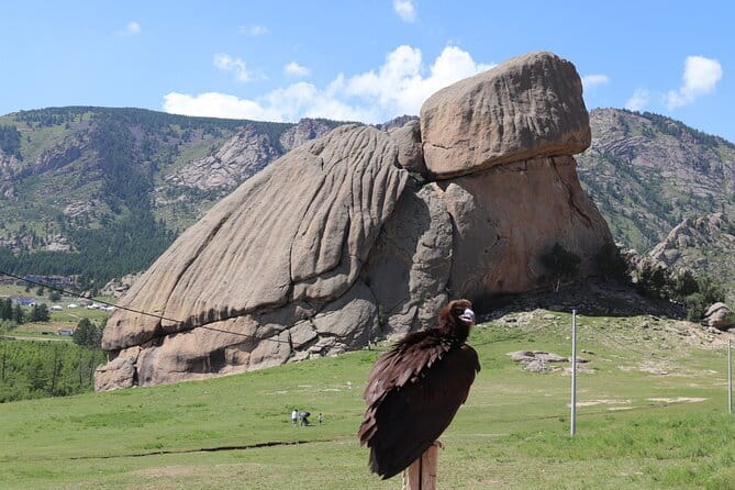 Full Day Chinggis Khaan Statue & Terelj NP Tour +Horseride, Eagle - Turtle Rock and the eagle encounter
