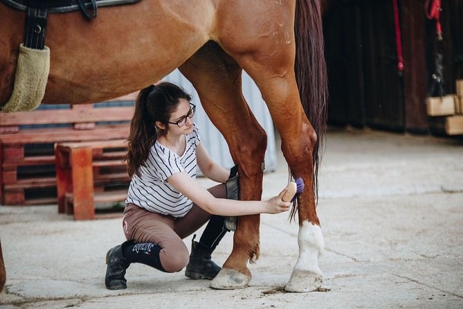 Full day Horse riding & Quad biking - Group size, transport, and comfort