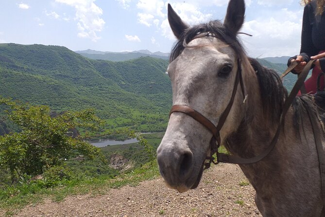 Full-day Private Guided Horseback Ride through Dzoraget Canyon - A picnic in the Dzoraget Valley