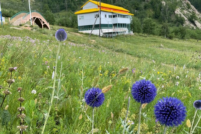 Full Day Private Tour in Terelj National Park with Horse Riding - The long ride back to Ulaanbaatar